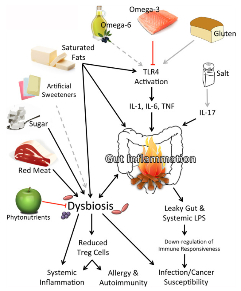 omega 3 dysbiosis)